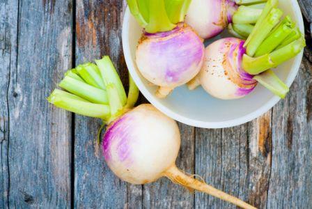 Organic Purple Top White Globe Turnip, Brassica rapa .300 grams
